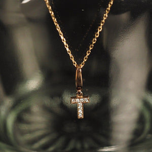IRIZA Initial Charm
