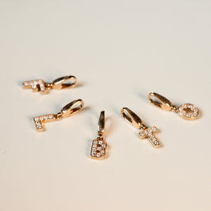 IRIZA Initial Charm