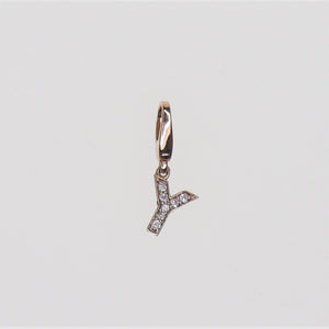 IRIZA Initial Charm